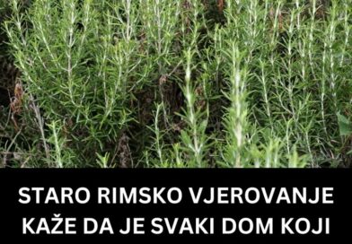 STARO RIMSKO VJEROVANJE KAŽE DA JE SVAKI DOM KOJI IMA OVU BILJKU ZAŠTIĆEN: Zle sile će ga zaobići u velikom luku