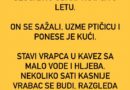 Vic dana: Rešetke, hljeb i voda